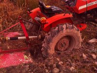 IMG_20141217_065118_527.jpg