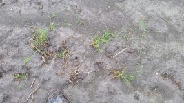 20150515_143626.jpg