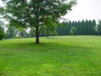 708935-Right Lawn (480 x 360).jpg
