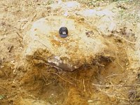 668625-in situ.jpg