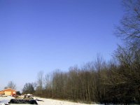784022-IMG_1038.jpg