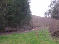 669134-Former Pasture.jpg