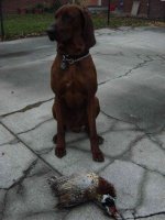 784485-hogan.JPG