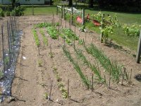 669286-Garden01.jpg