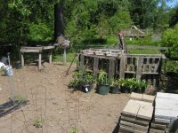 669289-Garden02.jpg