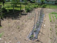 669305-Garden04.jpg