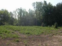709851-Picture 139.jpg