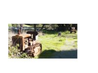 628683-oldcats.JPG