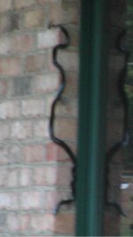785664-snakeonwallShrunk1.JPG