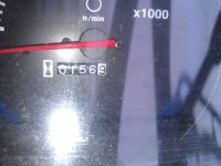 IMAG1105.jpg