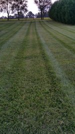 20150725_201320.jpg