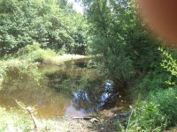 WP_000627.jpg