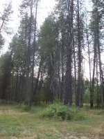 100_8082.jpg