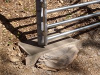 Gate w Concrete (1024x768).jpg