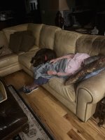 IMG_1925.jpeg