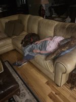 IMG_1926.jpeg