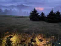 IMG_1948.jpeg