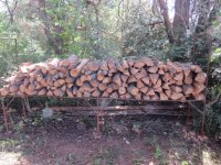 wood4.jpg