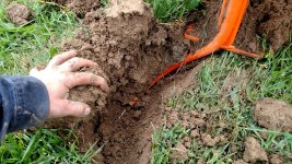 IMG_20150521_091926555[1].jpg