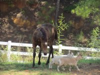 IMG_1530.jpg