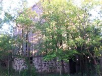 IMG_1298.jpg