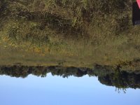 IMG_0355.JPG