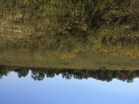 IMG_0356.JPG