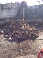 image-3606890461.jpg