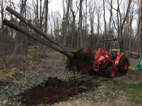 tractor with tree.jpg