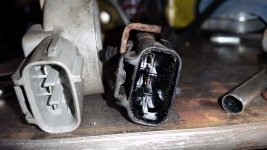 20150628_104923.jpg