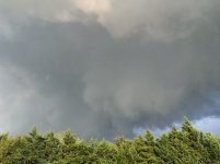 IMG_06261.jpg
