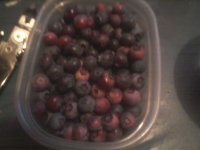 more blueberries.jpg