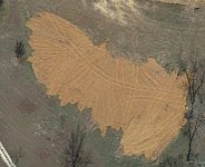 land2.jpg