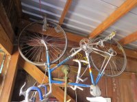 peugeot bike small.jpg