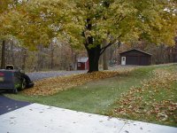 FallLeafPickupb.jpg