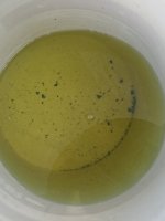 IMG_5171.jpeg