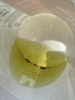 IMG_5172.jpeg