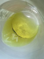 IMG_5174.jpeg
