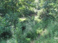 IMG_8936.jpg
