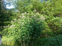 20150802_175756.jpg