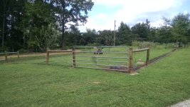 IMG_20150818_120345345.jpg