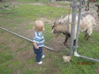 Chris 'n goat 004.JPG Chris 'n goat 004.JPG