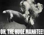 manattee.jpg