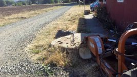 Stump 1.jpg Stump 1.jpg