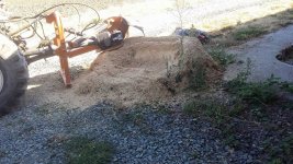 Stump 2.jpg Stump 2.jpg