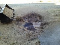 Stump 4.jpg Stump 4.jpg