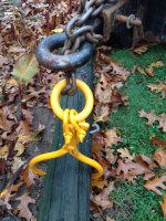Tongs 3.JPG