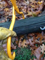 Tongs 5.JPG