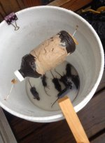 mouse trap.jpg