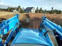 Brush Cutting 2015.jpg